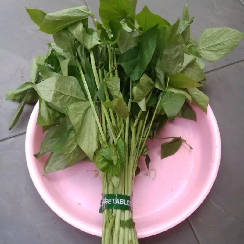 Lembayung