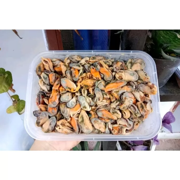 Kerang hijau kupas