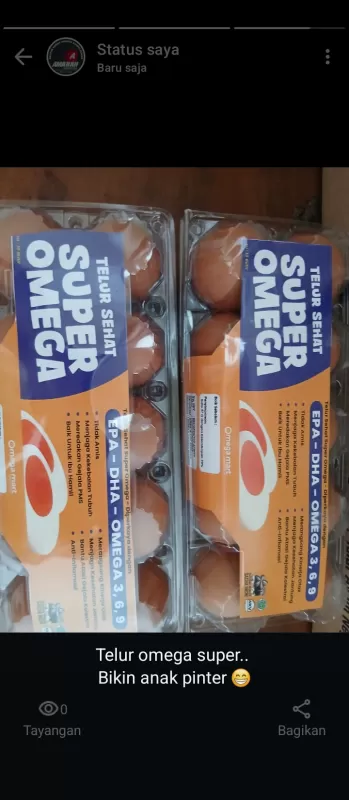 Telur Omega3