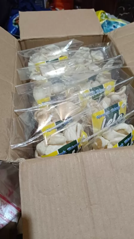 Kerupuk Tulang Lele - Goreng 35 gr/pack 10 bks