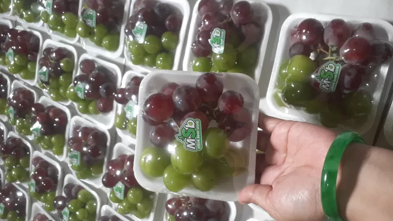 Paket hampers buah ( sistim PO )