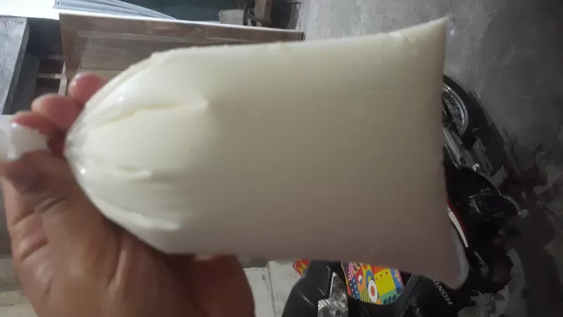 Susu etawa segar