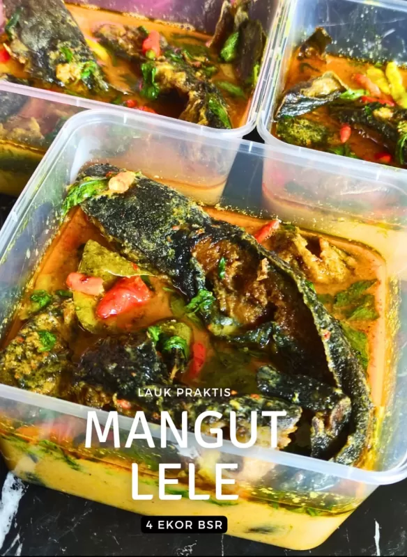 Mangut Lele