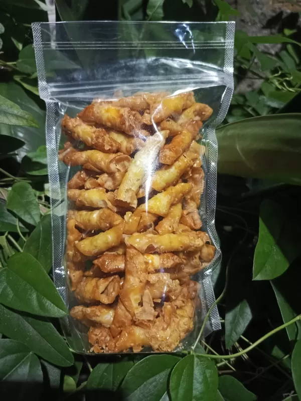 Kacang sembunyi