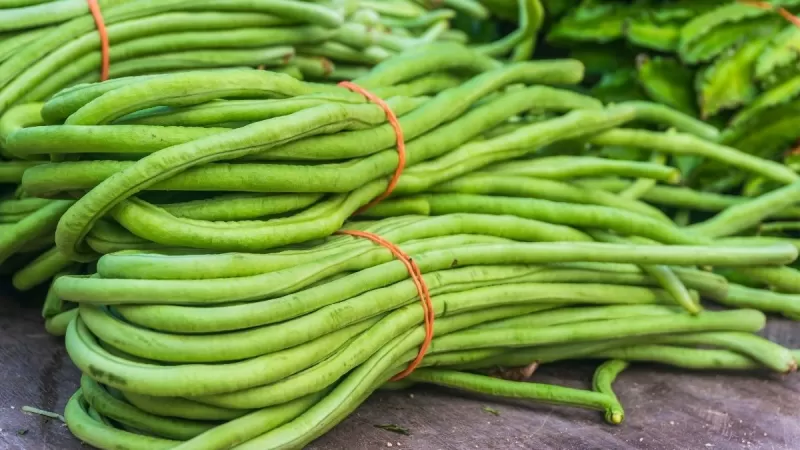 Kacang Panjang