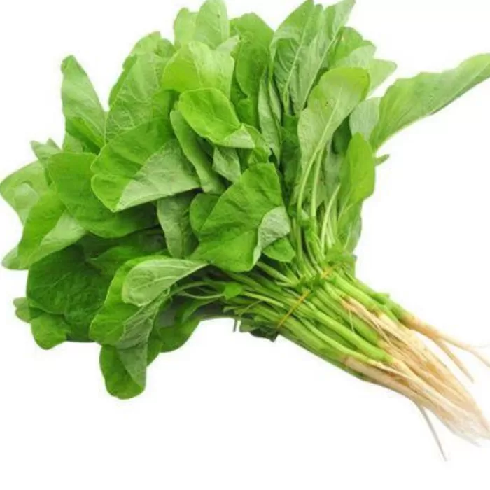Bayam