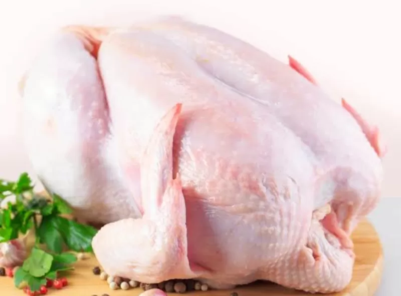 Ayam Potong Bersih