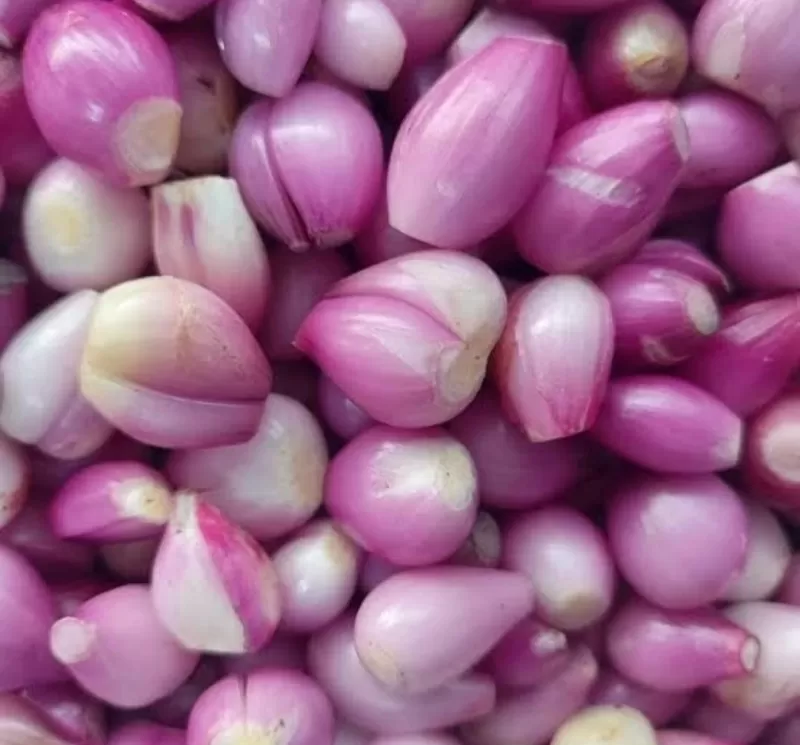 Bawang Merah Kupas 