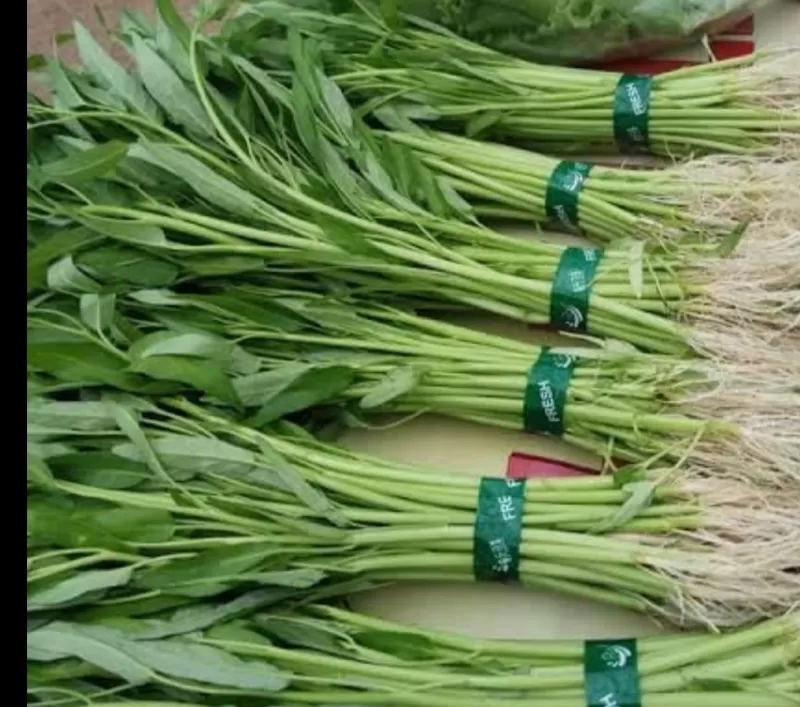 Kangkung cabut 
