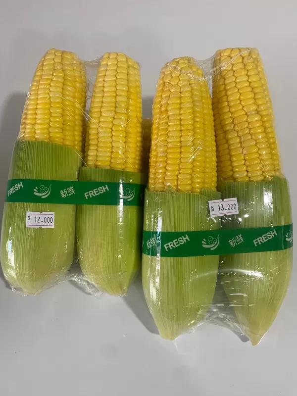 Jagung