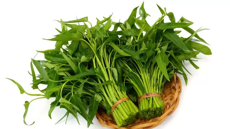 Kangkung