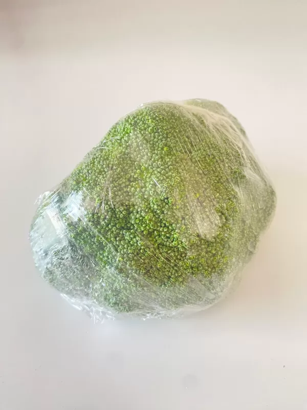 Brocoli