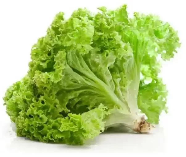 Selada