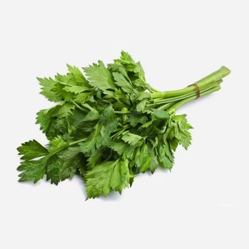 Daun Sop