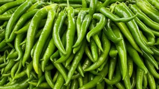 Cabe Hijau