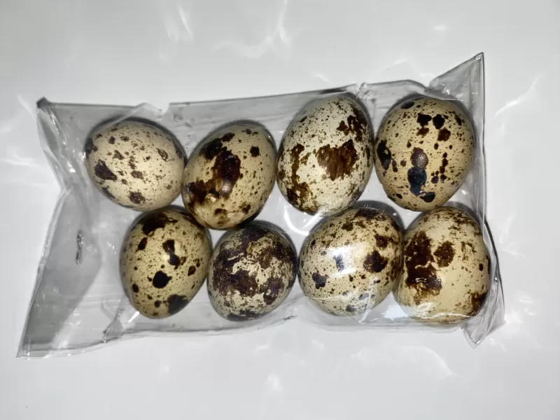 Telur Puyuh