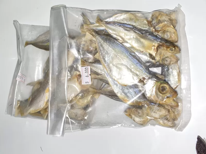 Ikan asin