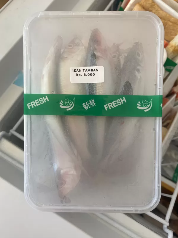 Ikan Tamban