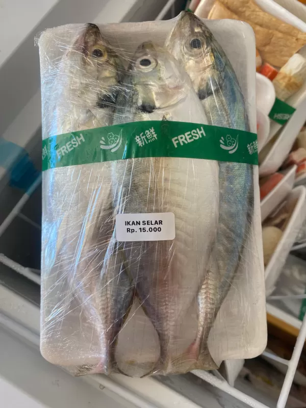 Ikan Selar