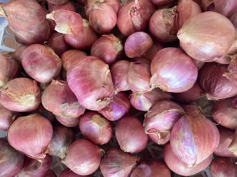 Bawang Merah Jawa