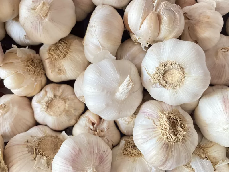Bawang Putih