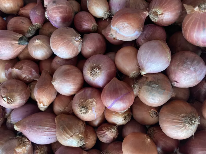 Bawang Merah Birma