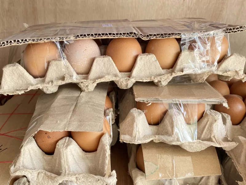 Telur Ayam Isi 10