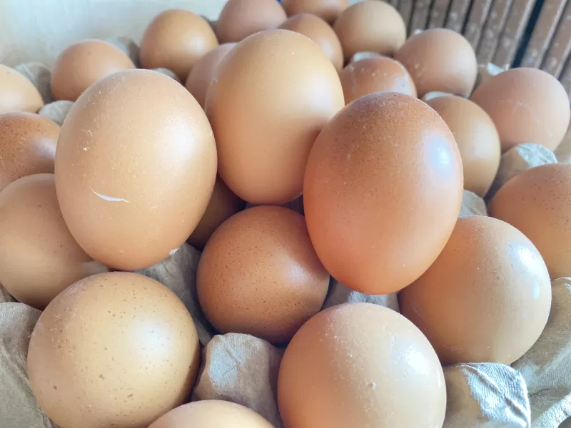 Telur Ayam (eceran)