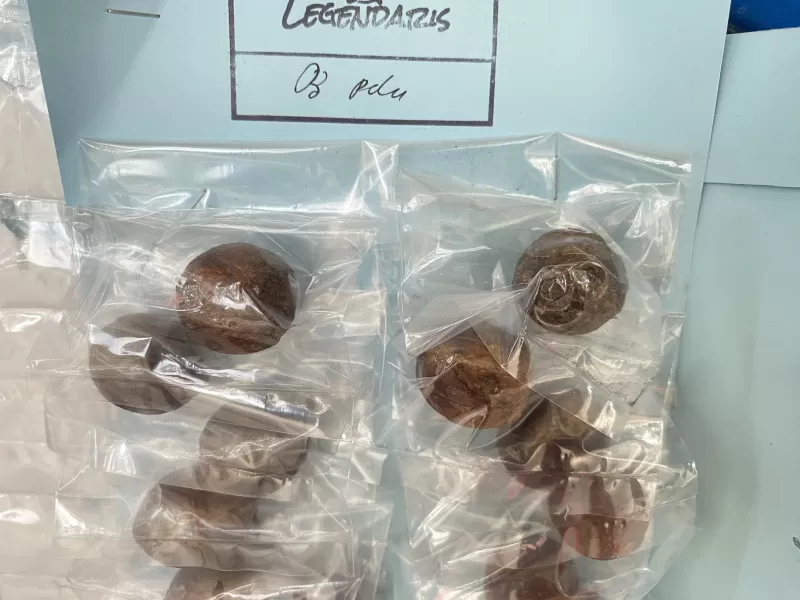Buah Pala