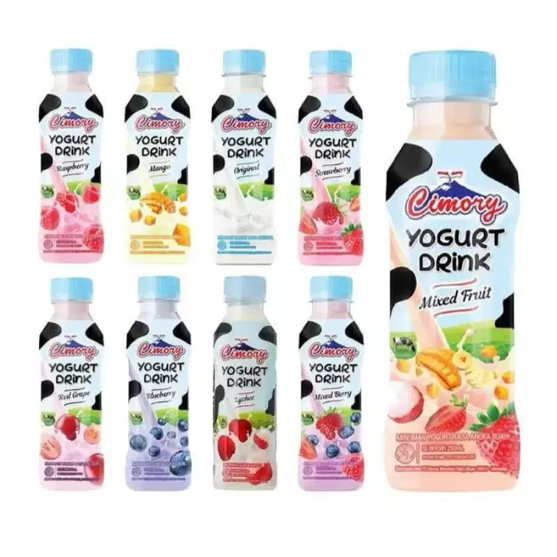Chimory Yougurt Drink (240ml)-Chat Rasa