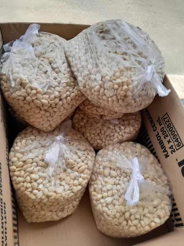 KACANG KUPAS 