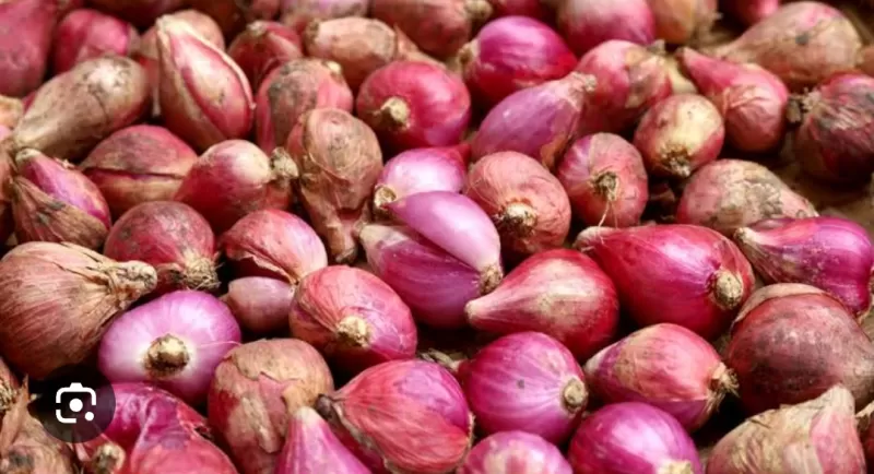 Bawang Merah