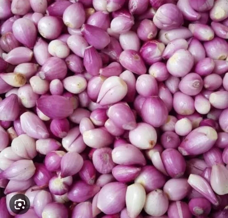 Bawang Merah Kupas