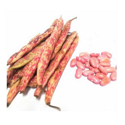 Kacang merah kupas