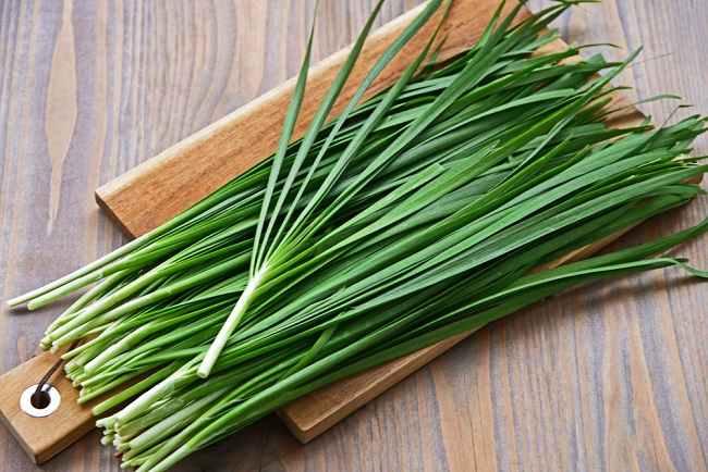 Daun kucai