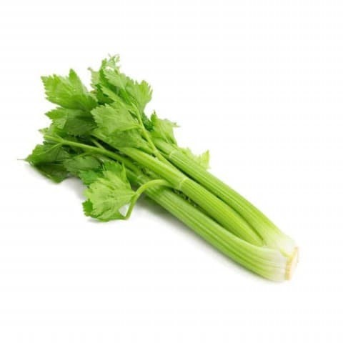 Seledri Stick