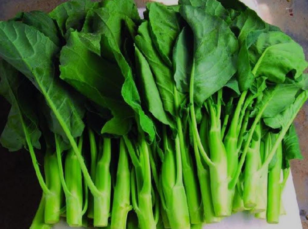 Kailan Daun