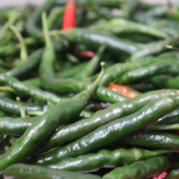 Cabe Hijau keriting