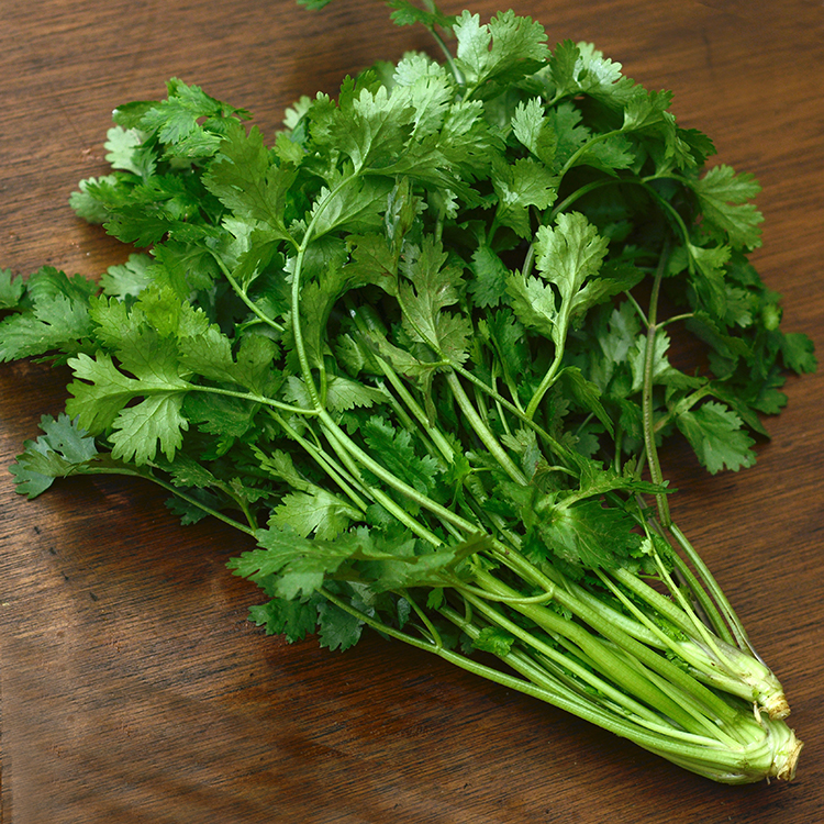 Daun ketumbar