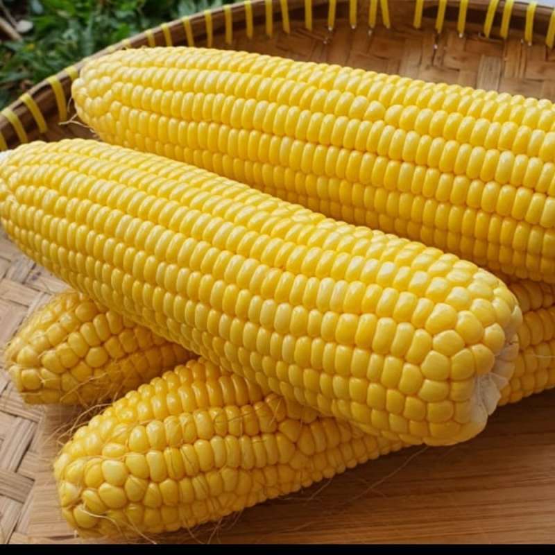 Jagung manis kupas