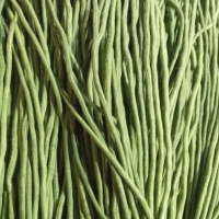 Kacang Panjang