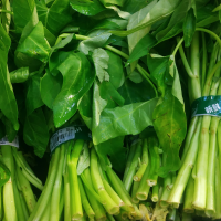Kangkung