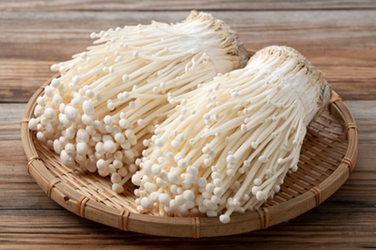 Jamur Enoki