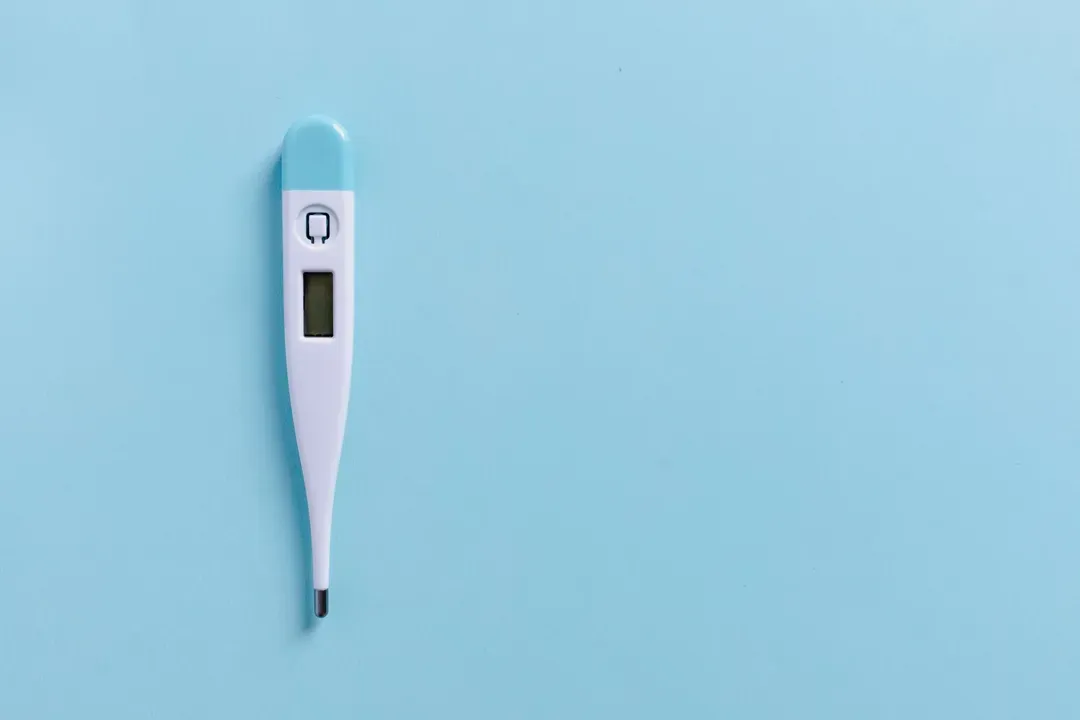 Termometer Digital