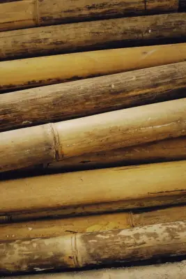 Bambu Kering Potong