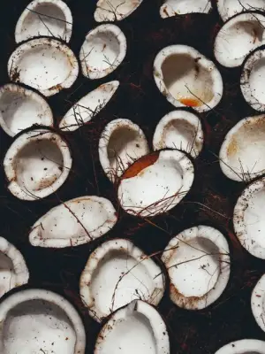 Batok Kelapa Belah Bersih