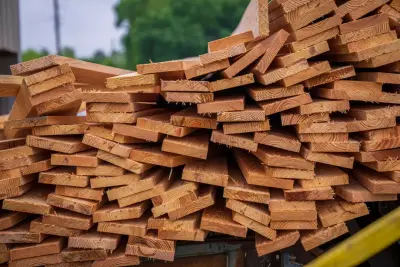 Papan Kayu Borneo 2x20 (4 m)