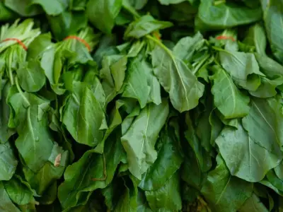 Kangkung Segar