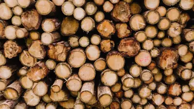 Kayu Gelondongan / Log