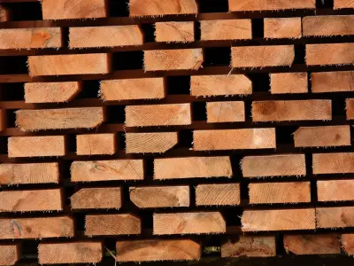 Reng Kayu 2x3 (3 m)
